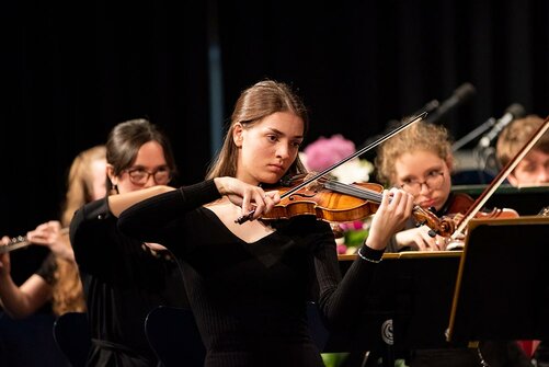 Orchester: Nahaufnahme Streicher