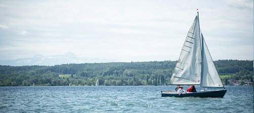 Nautischer Dienst: Segelboot auf dem Bodensee