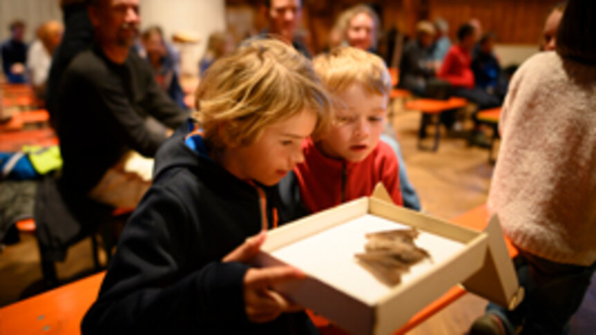 Zwei Jungs inspizieren eine Fledermaus nach einem Vortrag über Fledermäuse in Süddeutschland an der Schule Schloss Salem