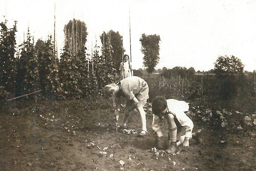 Gartenarbeit
