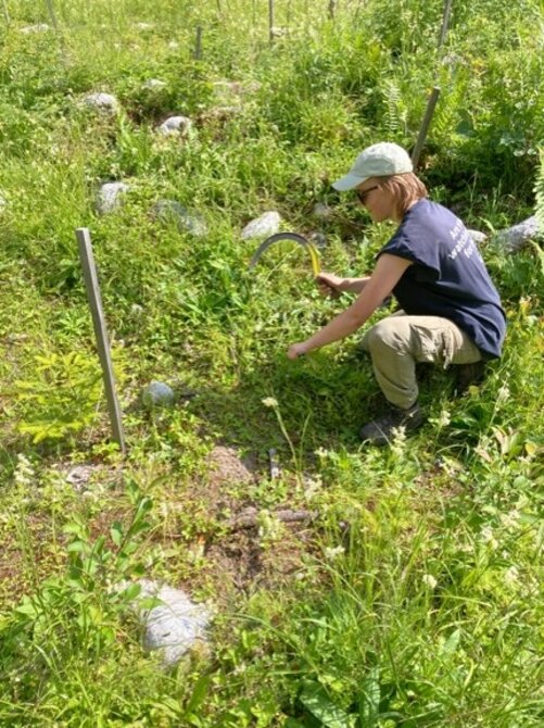 Schülerin bei ihrem Projekt für den Duke of Edinburgh's Award