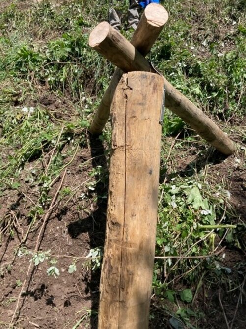 Holz