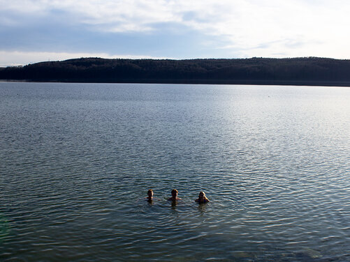 Schüler schwimmen im Bodensee