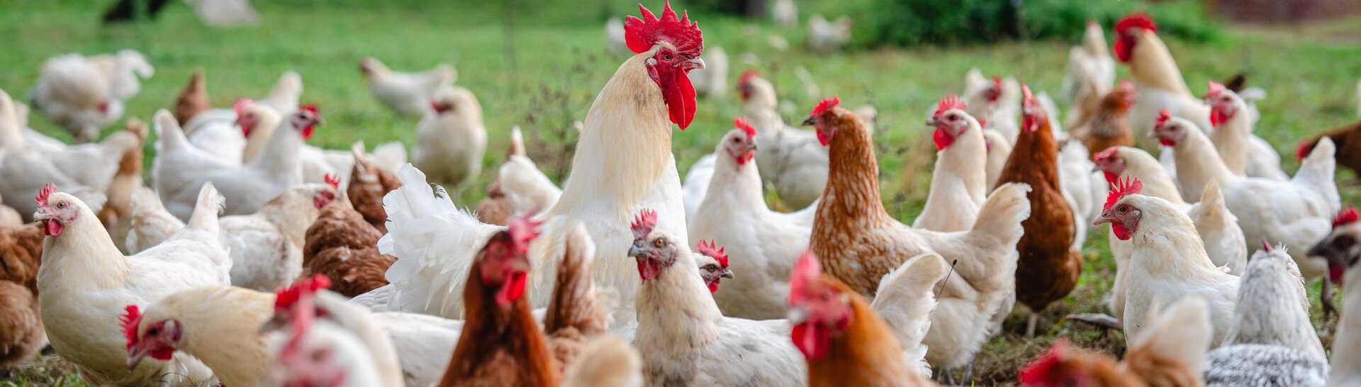 [Translate to Englisch:] 